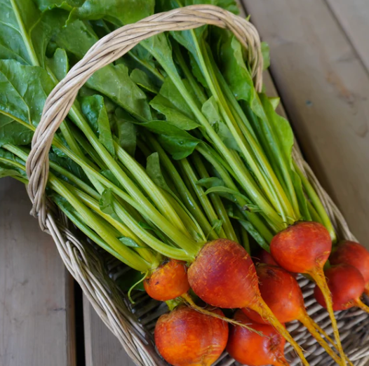 Beetroot 'Golden Boy' Heirloom Seeds