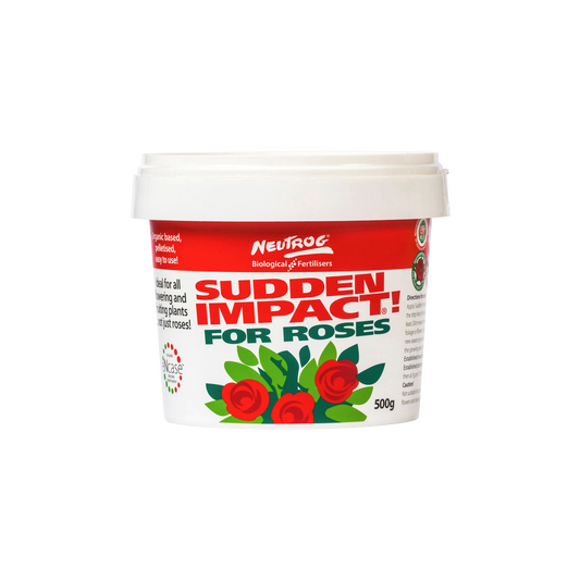 Sudden Impact 500g