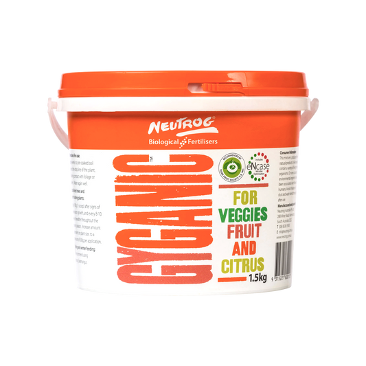Gyganic Pellets 1.5kg