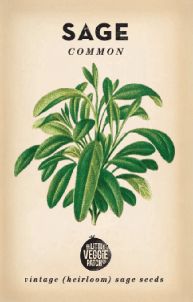 Sage 'Common' Heirloom Seeds