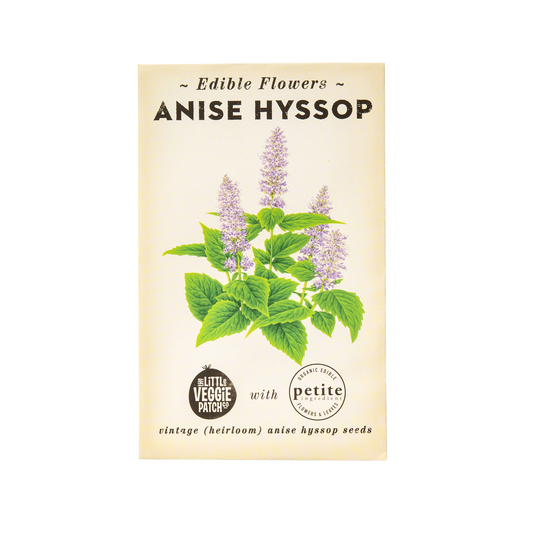 Hyssop "Anise" Heirloom Seeds