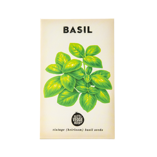 Basil 'Large Sweet Genova' Heirloom Seeds