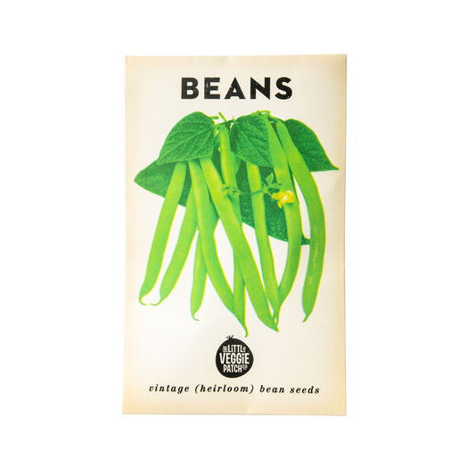 Bean 'Windsor Long Pod' Heirloom Seeds