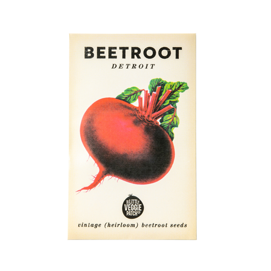 Beetroot 'Detroit' Heirloom Seeds