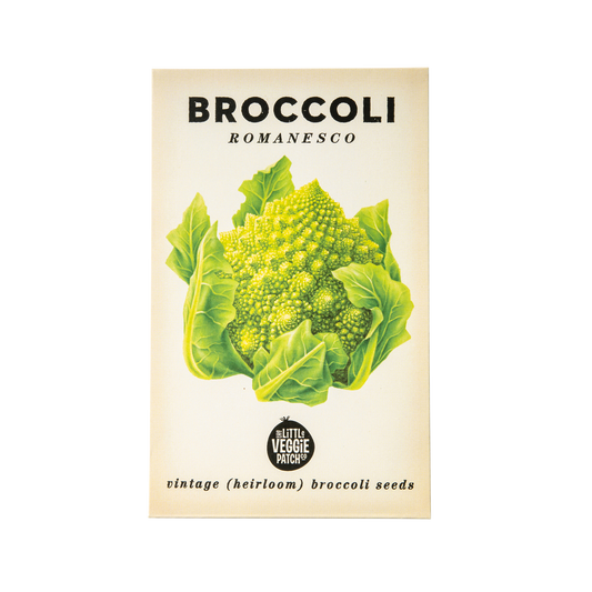 Broccoli 'Romanesco' Heirloom Seeds