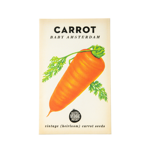 Carrot 'Baby Amsterdam' Heirloom Seeds