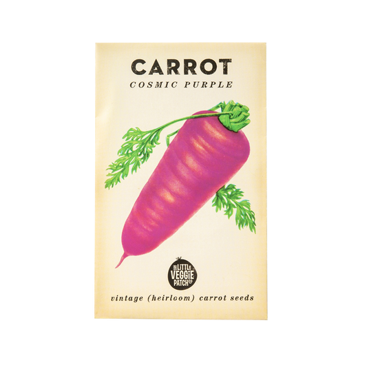Carrot 'Cosmic Purple' Heirloom Seeds