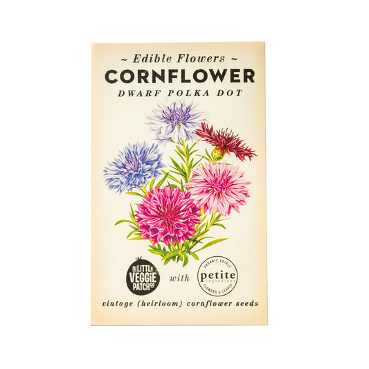 Cornflower "Polka Dot" Heirloom seeds