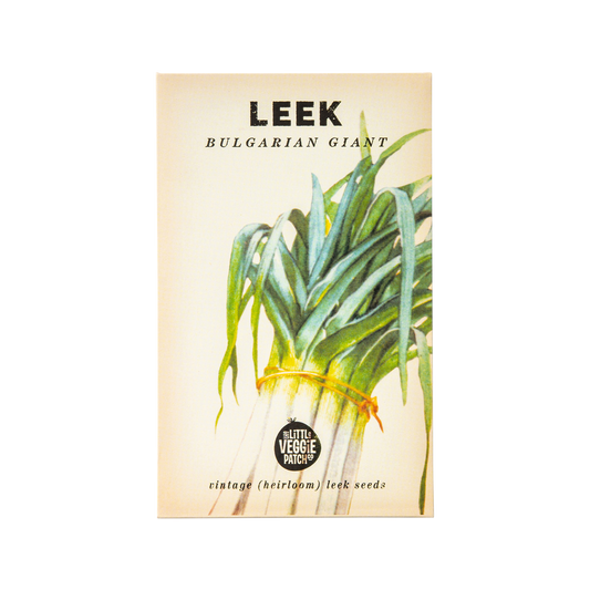 Leek 'Bulgarian Giant' Heirloom Seeds