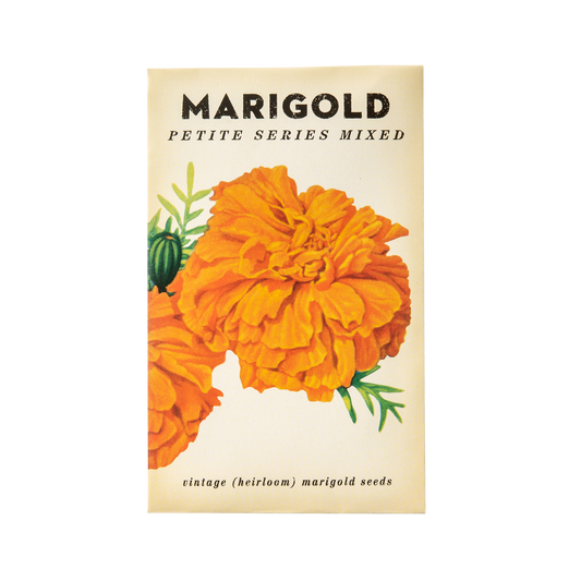 Marigold "Petit Series Mixed" Heirloom Seeds
