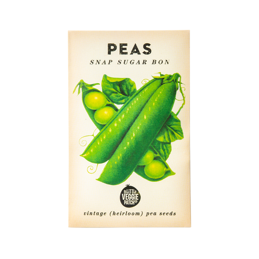 Pea "Snap Sugar Bon" Heirloom Seeds