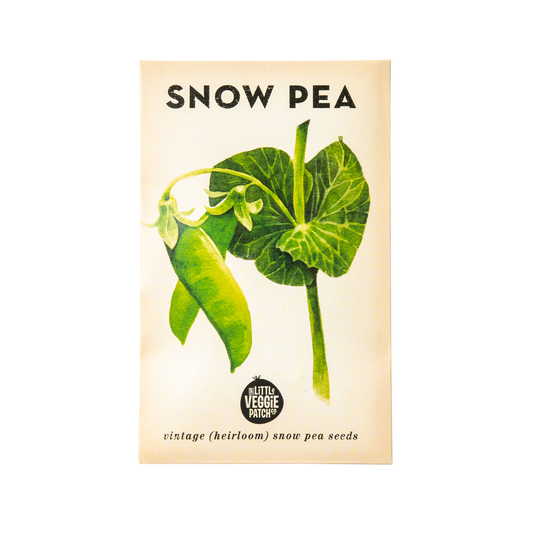 Snow Pea 'Oregon' Heirloom Seeds
