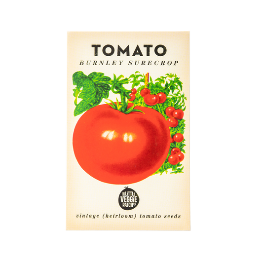 Tomato 'Burnley Surecrop' Heirloom Seeds