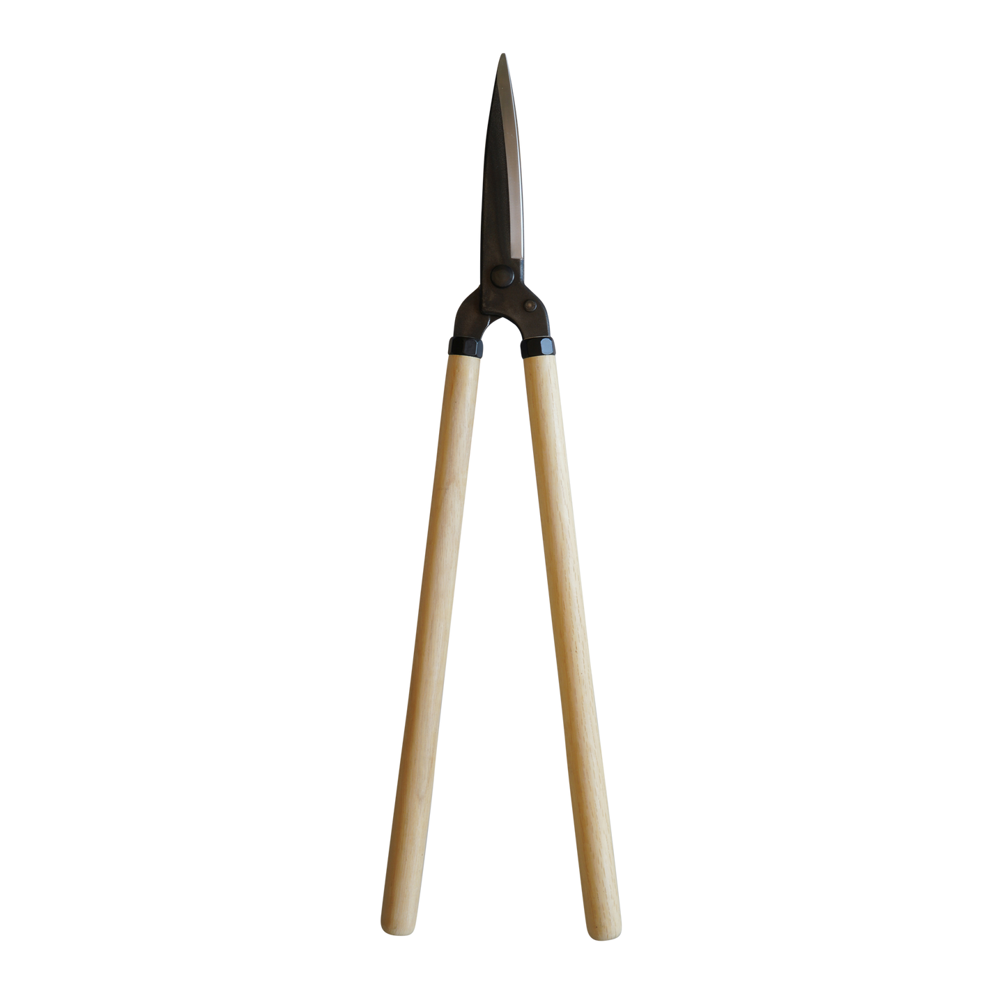180mm Shears (Double and Straight Edge)