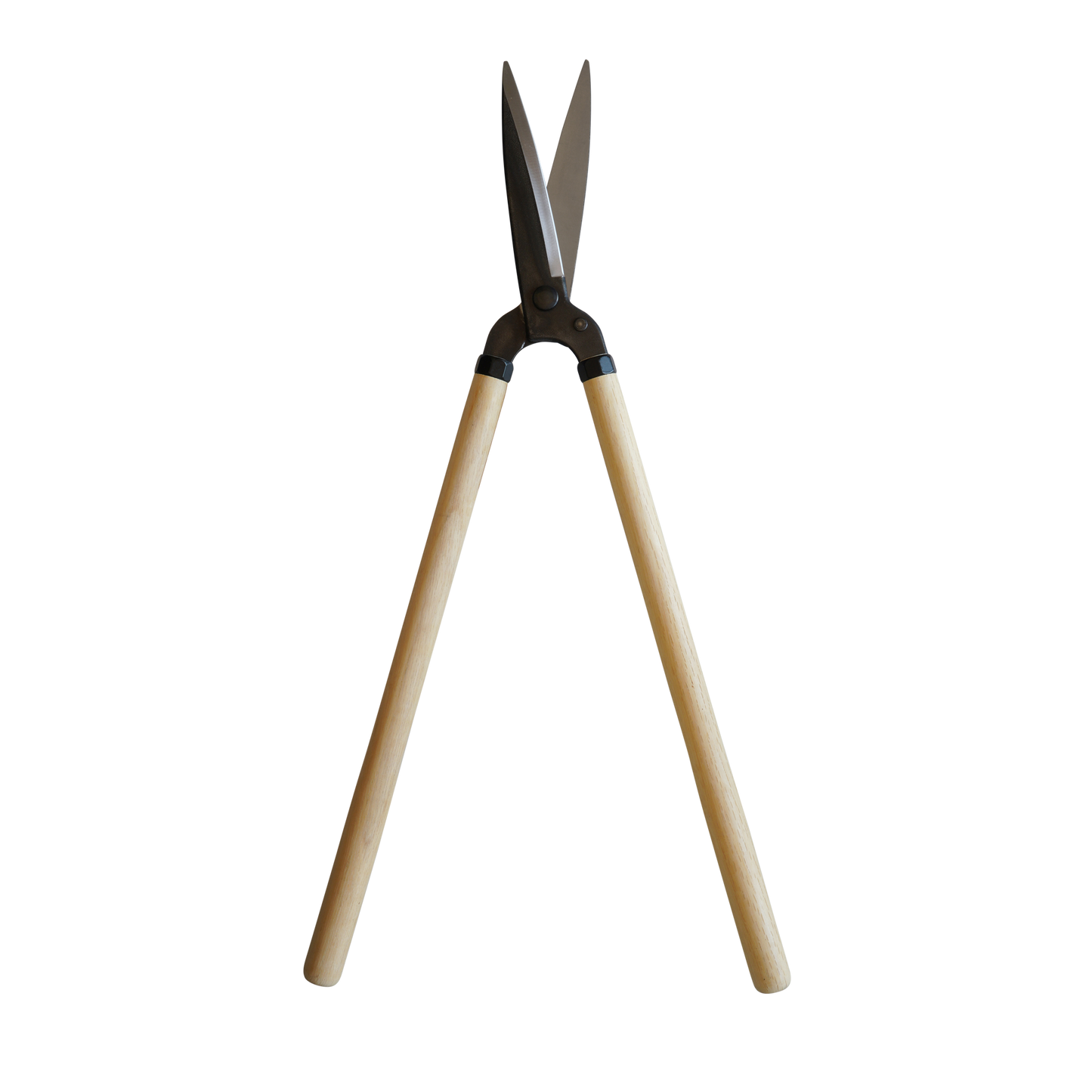 180mm Shears (Double and Straight Edge)