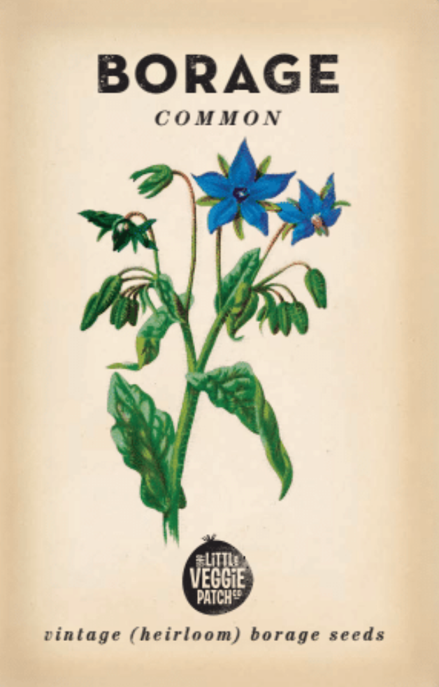 Borage 'Common' Heirloom Seeds