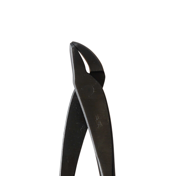 Bonsai 170mm Jin Pliers-Phillip & Lea