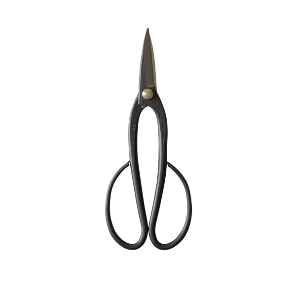 Bonsai 205mm Scissors – Phillip & Lea