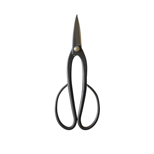 Bonsai 205mm Scissors-Phillip & Lea