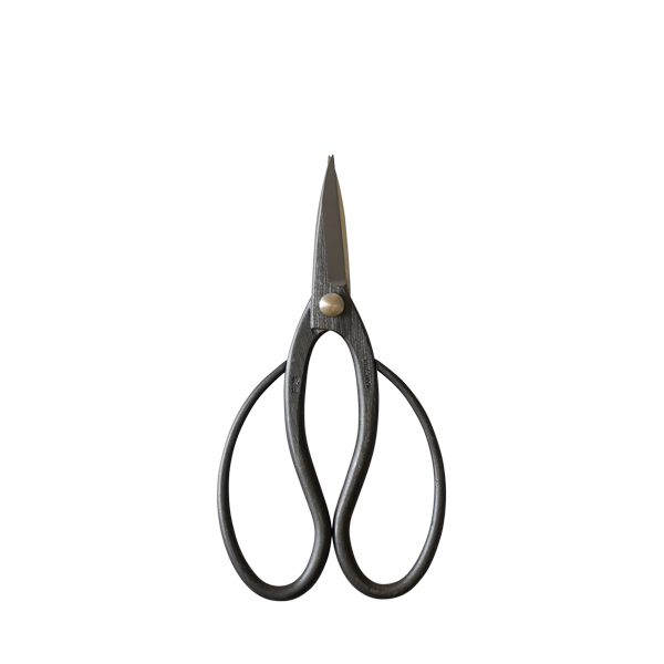 Bonsai 180mm Scissors-Phillip & Lea