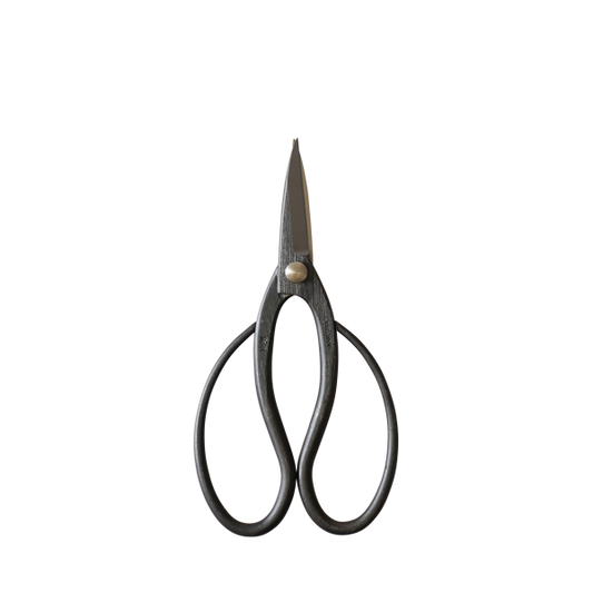 Bonsai 180mm Scissors-Phillip & Lea